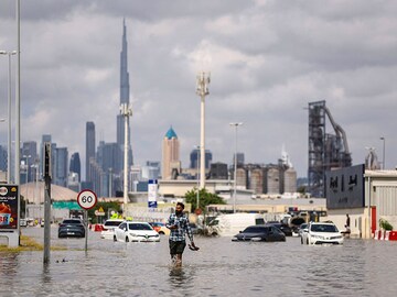 Photo of the day: When it rains...