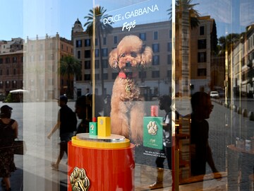 Not to be sniffed at: Dolce & Gabbana launches €99 dog perfume