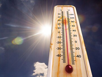 2024 'increasingly likely' to be warmest on record: EU monitor