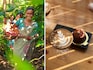 Java queens: Writing the coffee story, from farm to brew