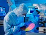 India's quest for semiconductor self-reliance gets wings in 2024. Here's what to expect in 2025