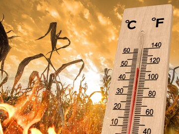 Climate change brought extreme weather, heat in 2024: UN