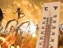 Climate change brought extreme weather, heat in 2024: UN