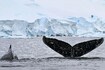 In Antarctica, scientists study extent of microplastics