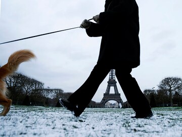 Photo of the day: Prickly Paris winter