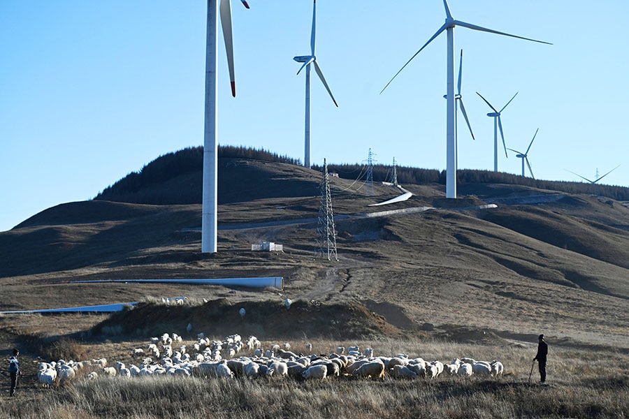 The world added 50 percent more renewable energy capacity in 2023 over the year before, according to the International Energy Agency.
Image: Greg Baker / AFP