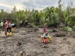 Nigerians strive to bring mangrove forests back to life