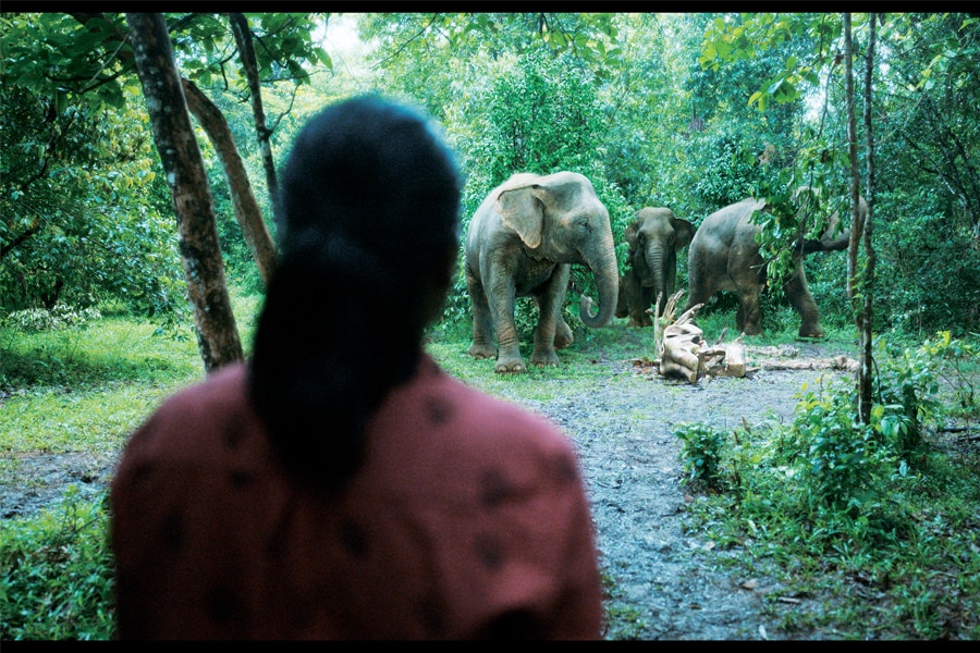 
Shaunak Sen, director of All That Breathes, which was nominated for an Oscar
Image: Amit Verma