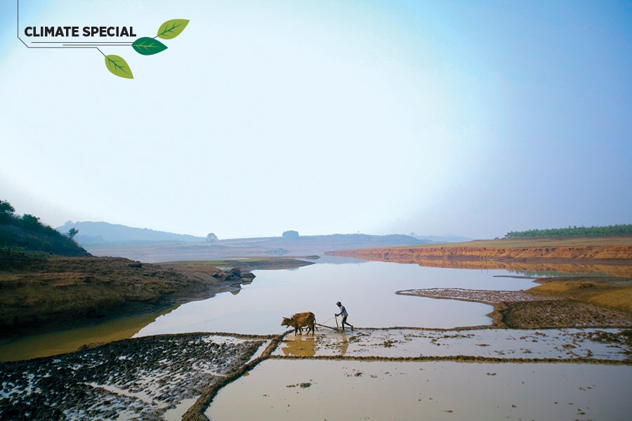 
India’s farmers, 78 percent of who have small holdings, face challenges such as water scarcity and the threat of unsustainable agricultural practices
Image: In Pictures Ltd. / Corbis Via Getty Images