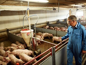 Denmark to introduce world's first livestock carbon tax