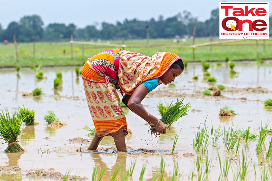 Government is expected to announce measures to push rural growth and spending higher.
Image: Shutterstock