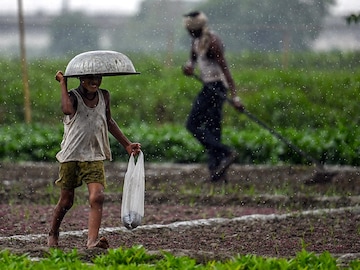 Rain Watch for July 11-17: Uneven shower patterns, sowing improves