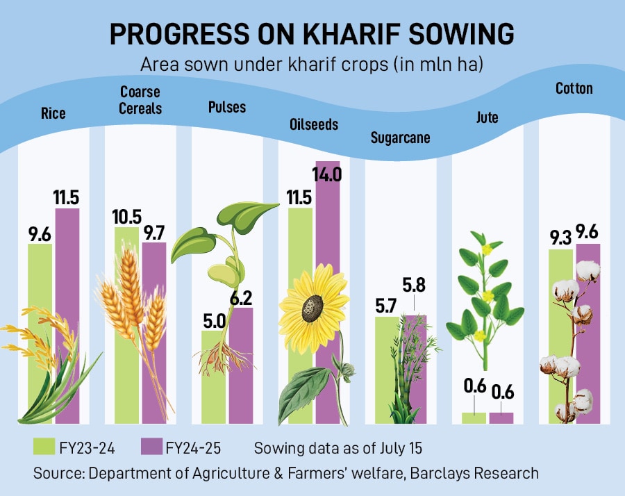 Overall, on a cumulative basis, rainfall remained in the 'normal' range, though dipping to a slight deficit.
Image: AFP