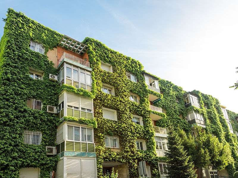 vertical garden