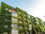 India needs energy-efficient buildings, today