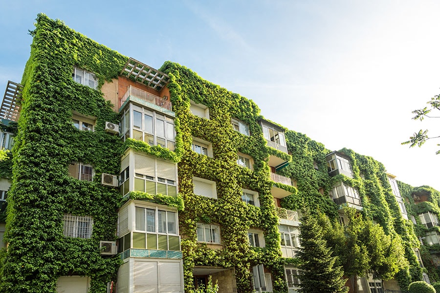 Green walls or vertical gardens can increase energy efficiency, reduce indoor and outdoor temperatures, and improve air quality
Image: Shutterstock