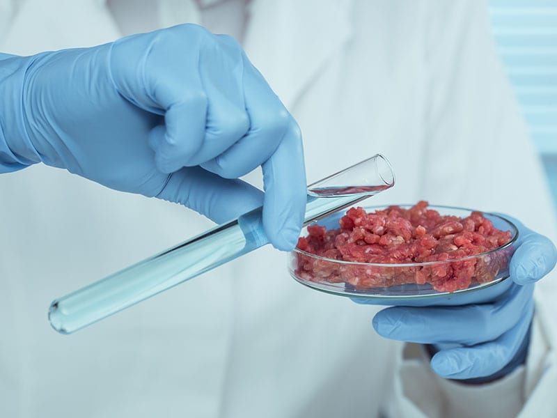 The UK is the first European country to authorize lab-grown meat, starting with pet food.
Image: Getty images