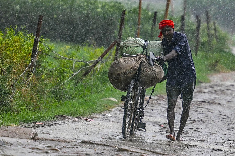 As of July 21, rainfall is 1.2 percent below the long period average (LPA) on a cumulative basis, as per Barclays analysis of IMD data. Arun Sankar/ AFP