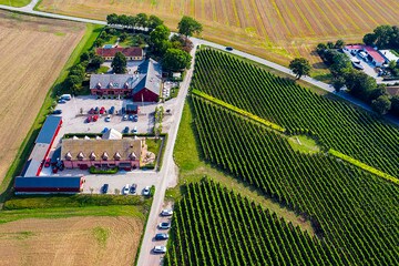 Sweden seeks to be winemaking's next frontier