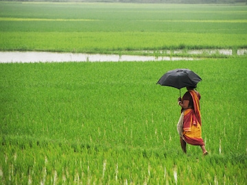 Rain Watch for July 25-31: Monsoon progresses, reservoir storage levels are up