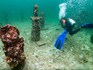 Colombian underwater 'art gallery' serves as coral home