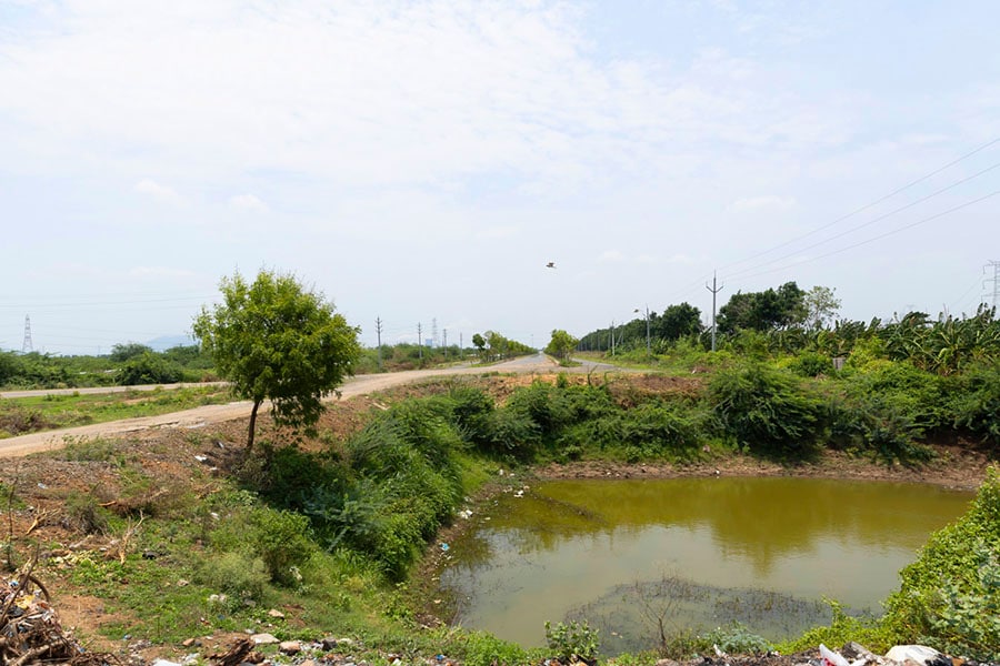 Abandoned half-constructed buildings on farmland, where two types of crops were grown a year, with dug-up approach roads lined on either side with weeds and thickets. Image: Vikas Chandra Pureti for Forbes India