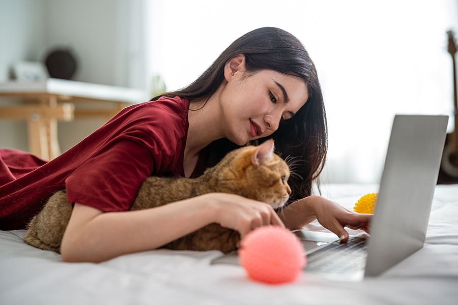 Millions of people in China are using Xianyu, Alibaba's secondhand sales platform, to find a partner for their pet. Image: Kawee Srital-on/Getty Images 