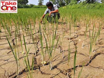 India stares at higher food prices with fears of weak monsoon