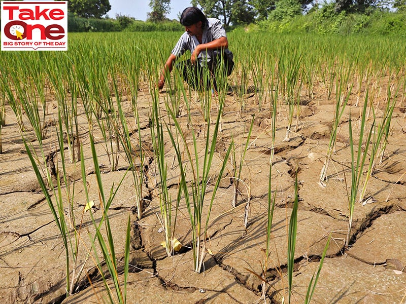 India stares at higher food prices with fears of weak monsoon