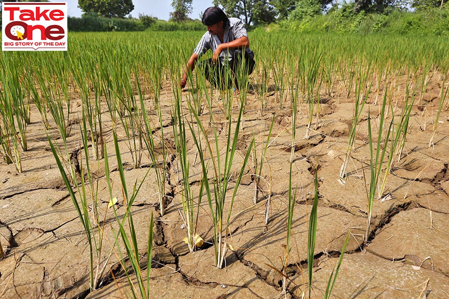 Nearly 50 percent of India’s agricultural land depends solely on the monsoon for irrigation. A poor monsoon can lower agricultural output and stoke higher food prices and inflation. 
Image: Amit Dave / Reuteres