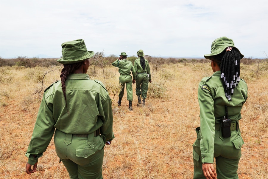 Team Lioness members patrol on foot in Oloitokitok February 28, 2024, at the Olgulului community lands, adjascent to the Amboseli National Park.
Image: Tony Karumba / AFP©