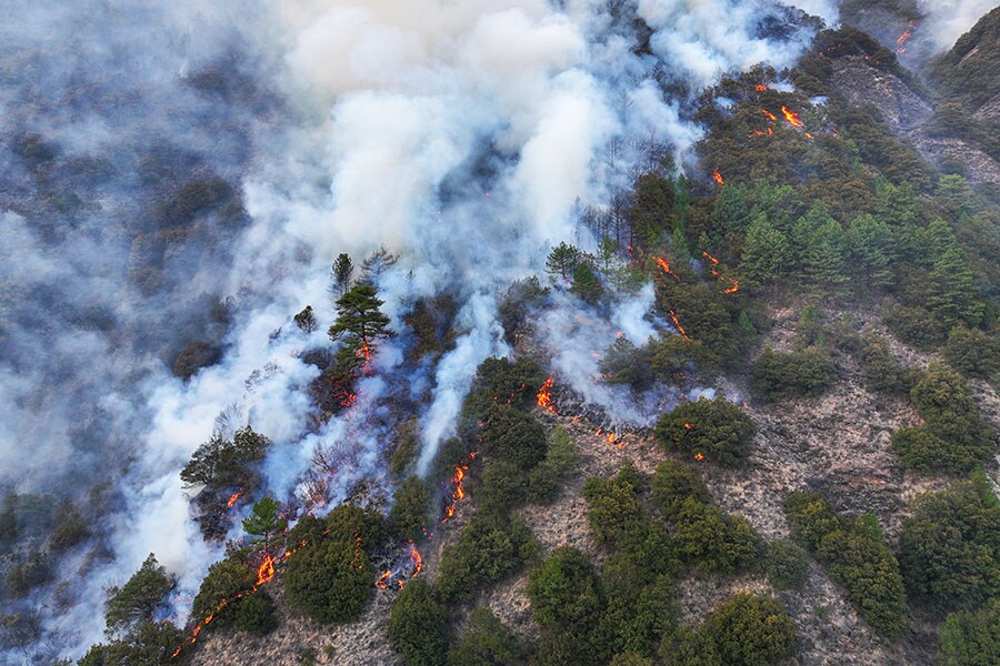 Image: Angelos Tzortzinis / AFP