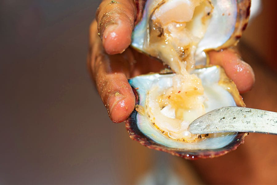 Bahrainis uphold a proverb: It's not about who collected the oysters, but who shucked them,