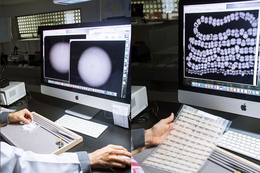 An assessor at DANAT scrutinizes pearls with the gemological X-ray machine that helps them detect growth lines that distinguish natural pearls from their cultured counterparts Image: Courtesy DANAT