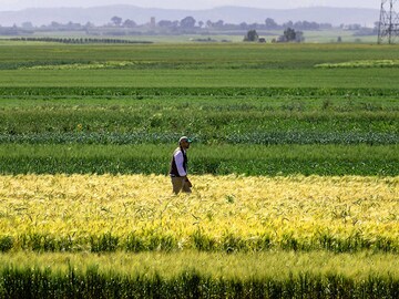Morocco's farming revolution is defying drought with science