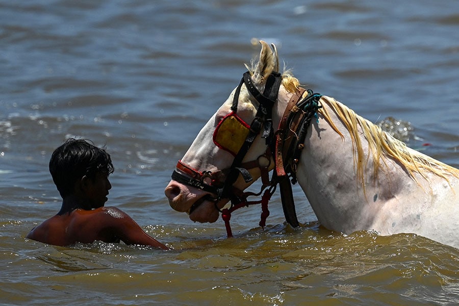 Image: Pablo PORCIUNCULA / AFP