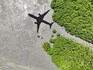 Private jet carbon emissions soar 46%: study