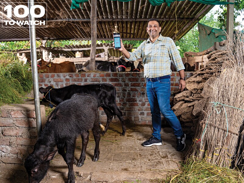 How Digivriddhi Tech is making finance and insurance accessible for dairy farmers
