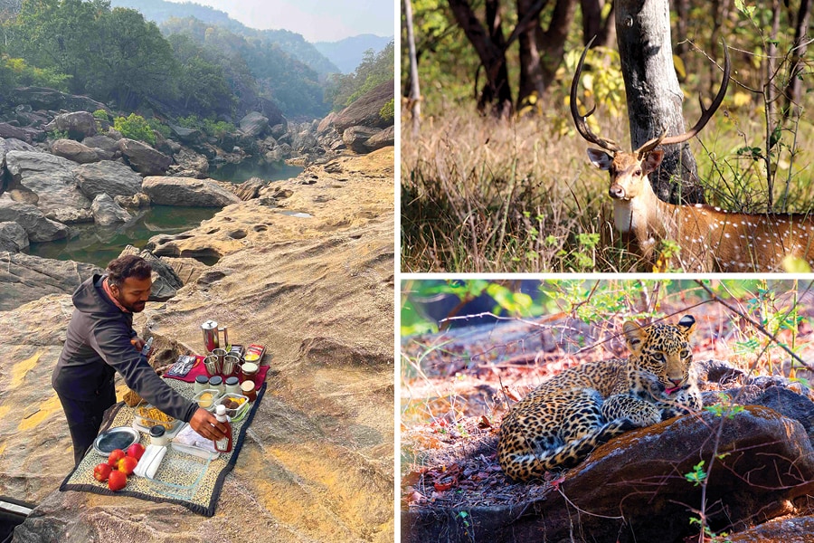 (Clockwise from left ) A picnic at a rocky gorge nestling a clear stream; a spotted deer; and a resting leopard Image: leopard: Getty Images