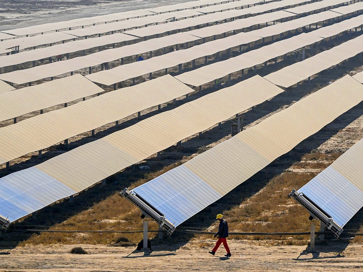 Government action needed for world to meet renewables goal: IEA