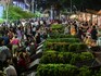 COP16 'green zone' celebrates nature's bounty