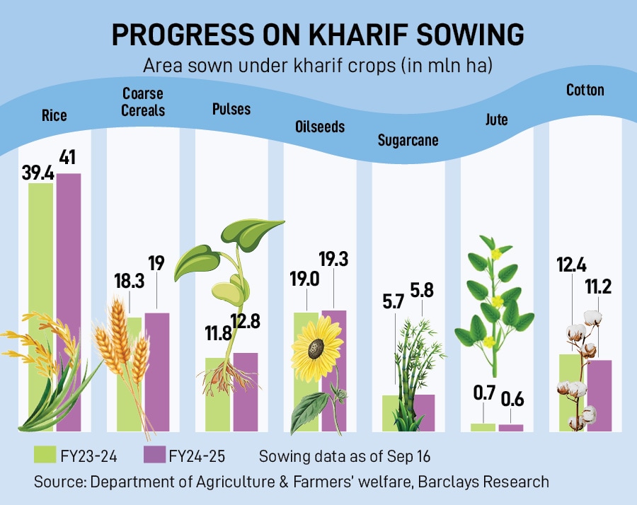 Kharif sowing patterns were similar as towards the end of August, given that sowing is complete in 100 percent of normal area.
Image: Narinder Nanu / AFP