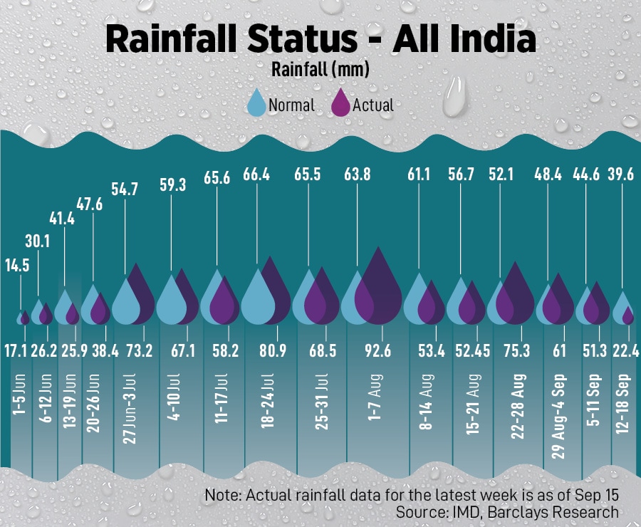 Kharif sowing patterns were similar as towards the end of August, given that sowing is complete in 100 percent of normal area.
Image: Narinder Nanu / AFP