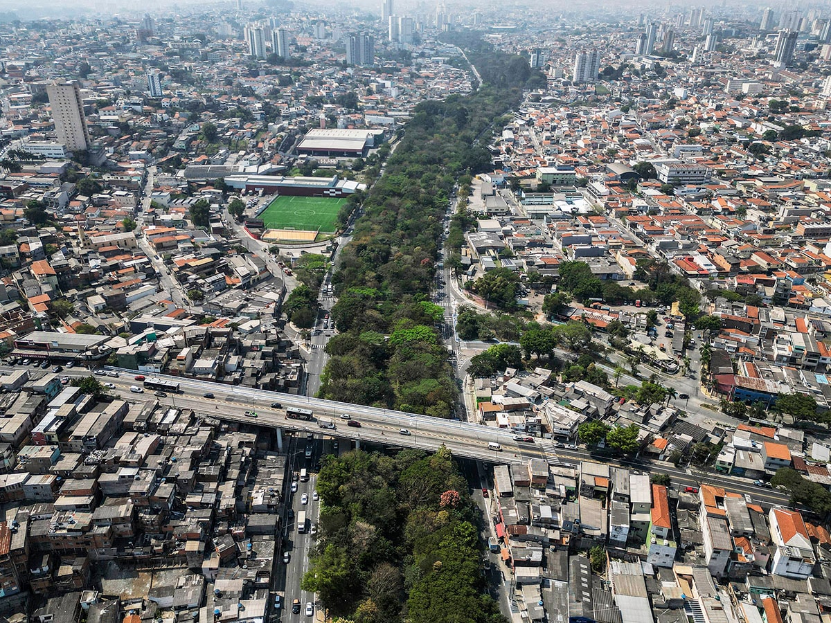 'Crazy' tree planter greening Sao Paulo concrete jungle