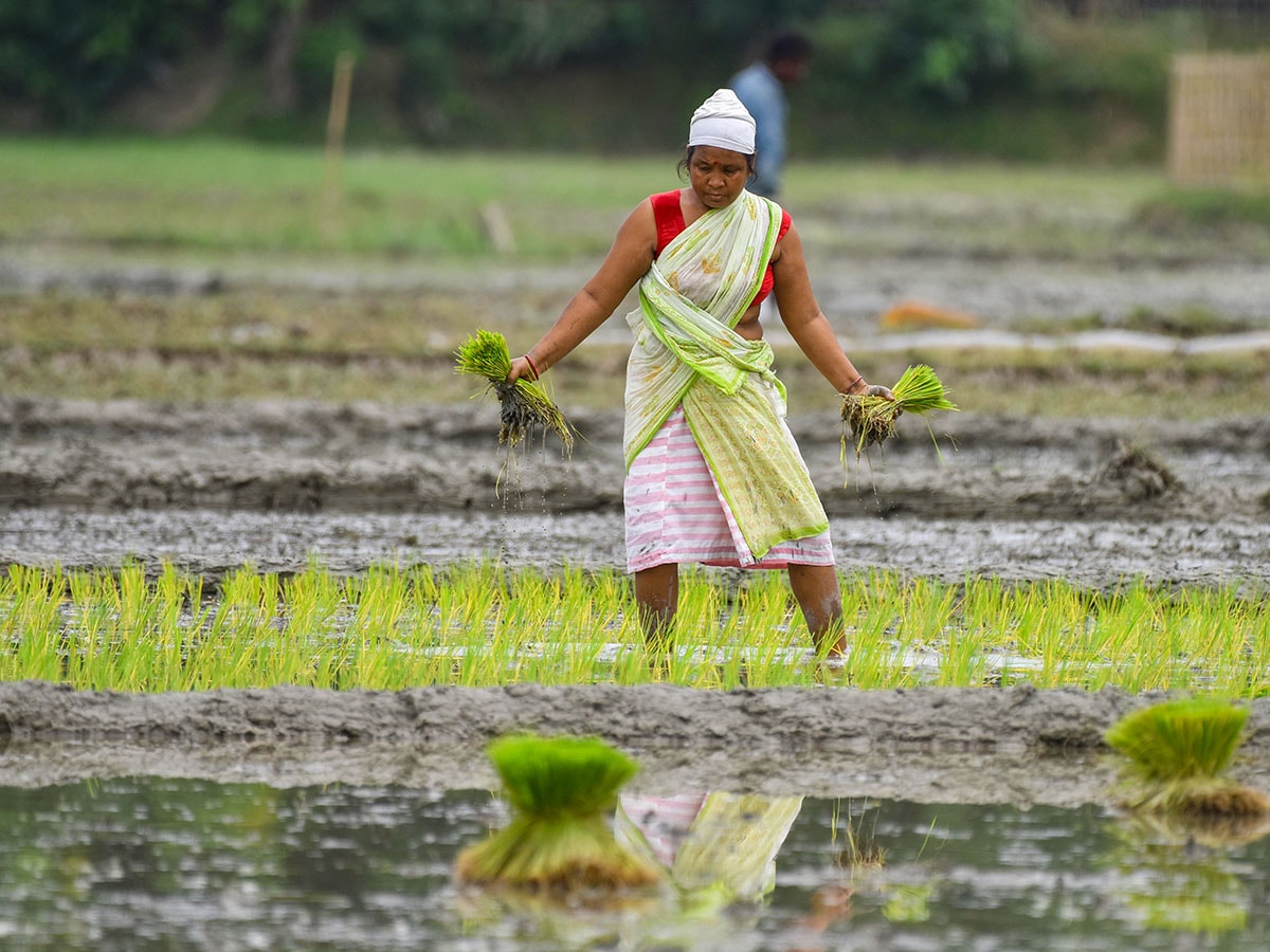 Rain Watch for July 31-Aug 6: Monsoon slows down, sowing of pulses lags