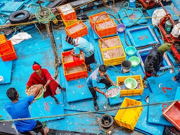 c_afp__20250813__69e738b__v1__highres__indiaustarifftrade_bg
