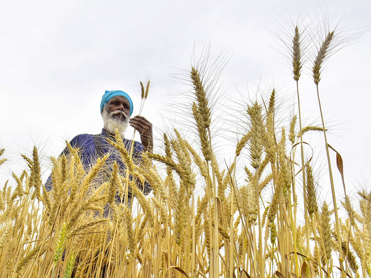 Aimed at helping 1.7 crore farmers, the government announced a new scheme for agriculture called ‘Prime Minister Dhan-Dhaanya Krishi Yojana’ in partnership with states. Image: Sameer Sehgal/Hindustan Times via Getty Images