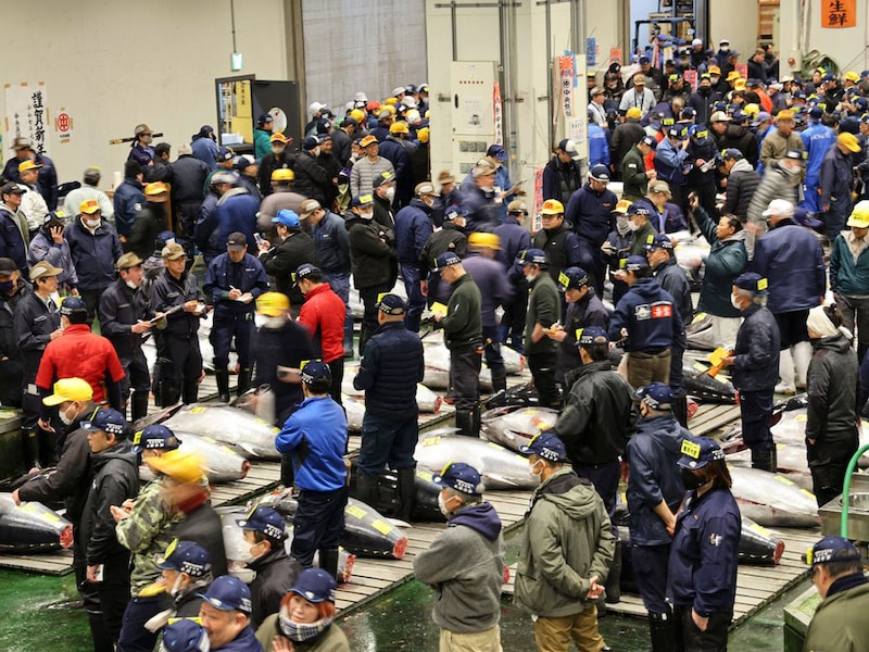 Buyer splashes out $1.3m for Tokyo new year tuna