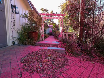 What is the pink stuff coating fire-ravaged Los Angeles?