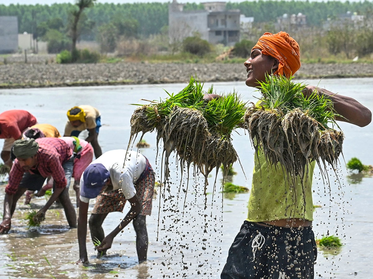 Rain Watch: IMD forecasts rainfall to be 106 percent above long-period average in July